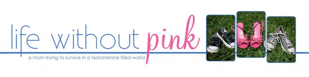 life without pink wwdop playworld guest post