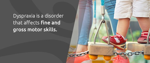 Dyspraxia Is A Disorder That Affects Fine And Gross Motor Skills.
