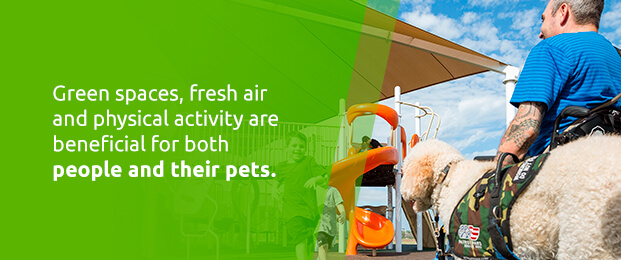 Set up a designated dog park 