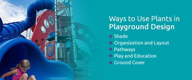 Ways to Use Plants in Playground Design