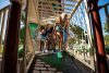 ZZPM6380 - Web Image 2