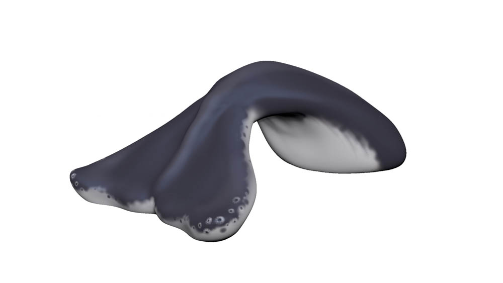 ZZTP2026M - Web Image 1