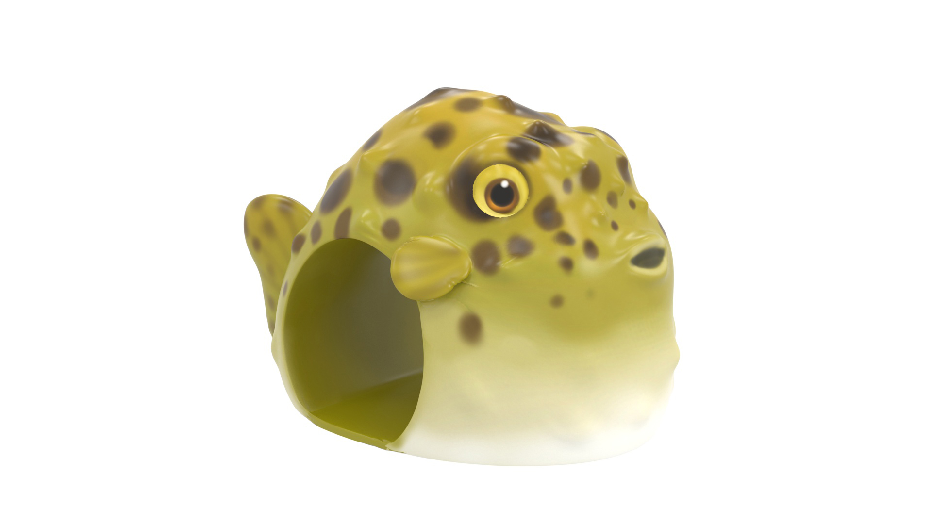 ZZTP2443M - Web Image 1