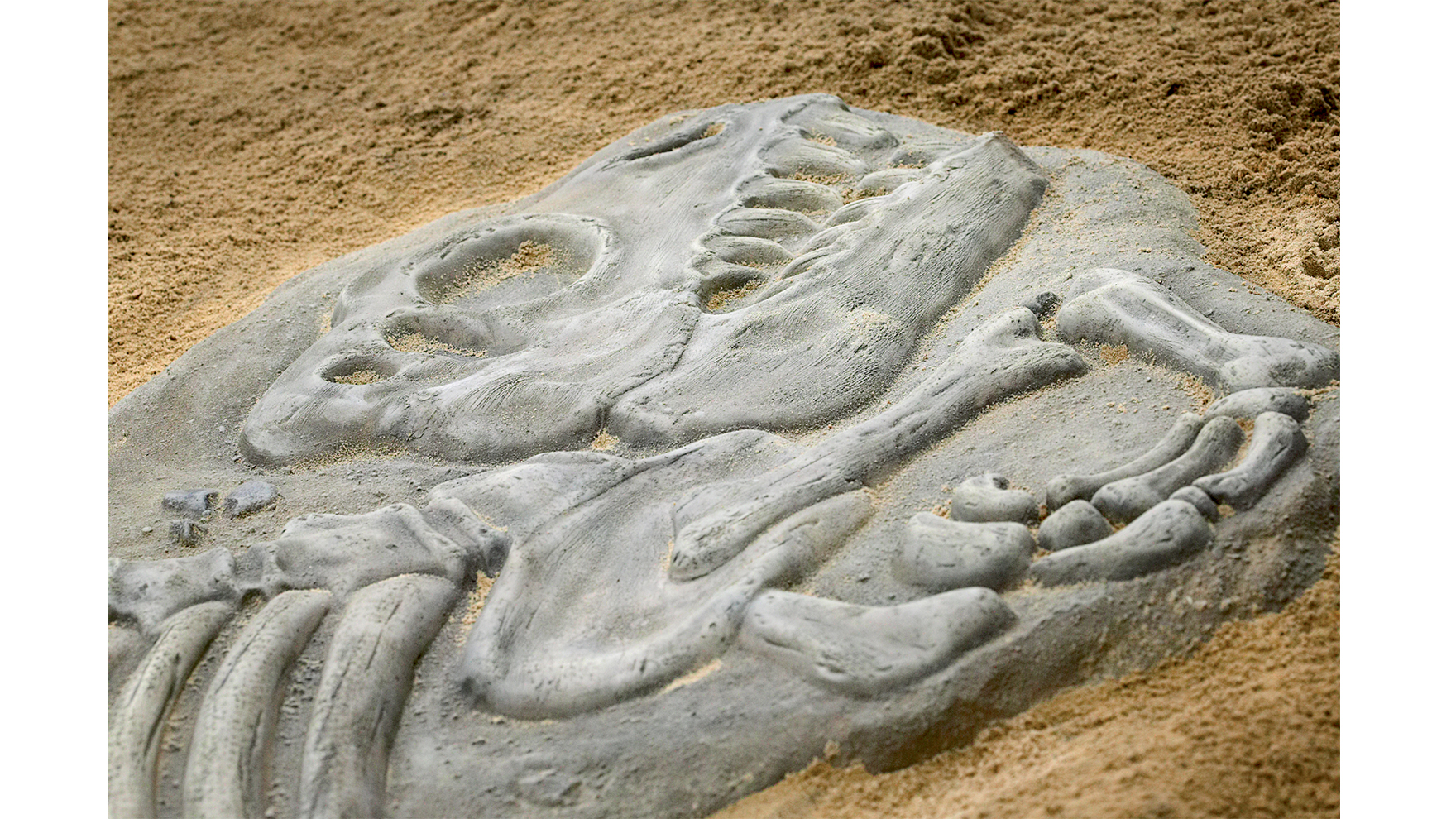 ZZXX0059 - Web Image 1