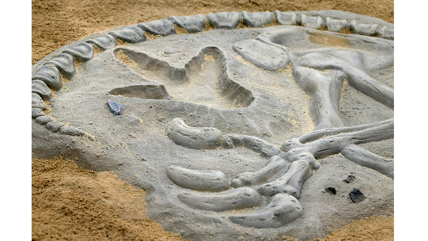 ZZXX0060 - Web Image 1