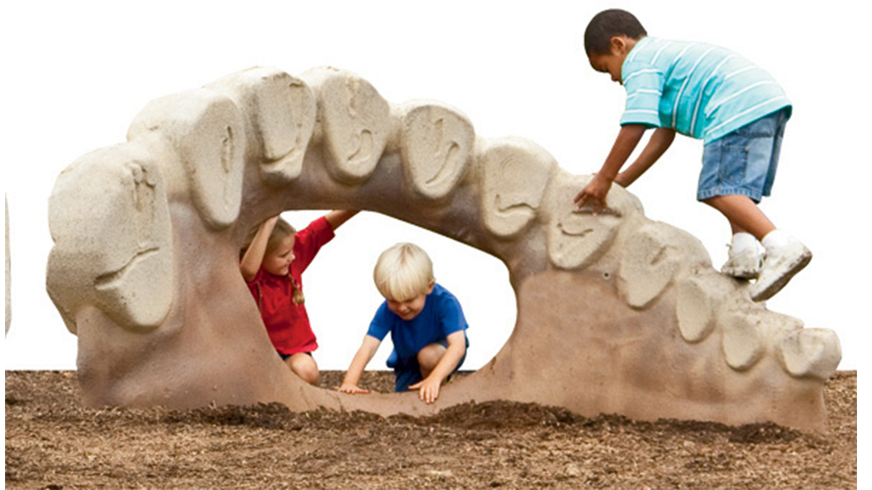 ZZXX0137 - Web Image 1