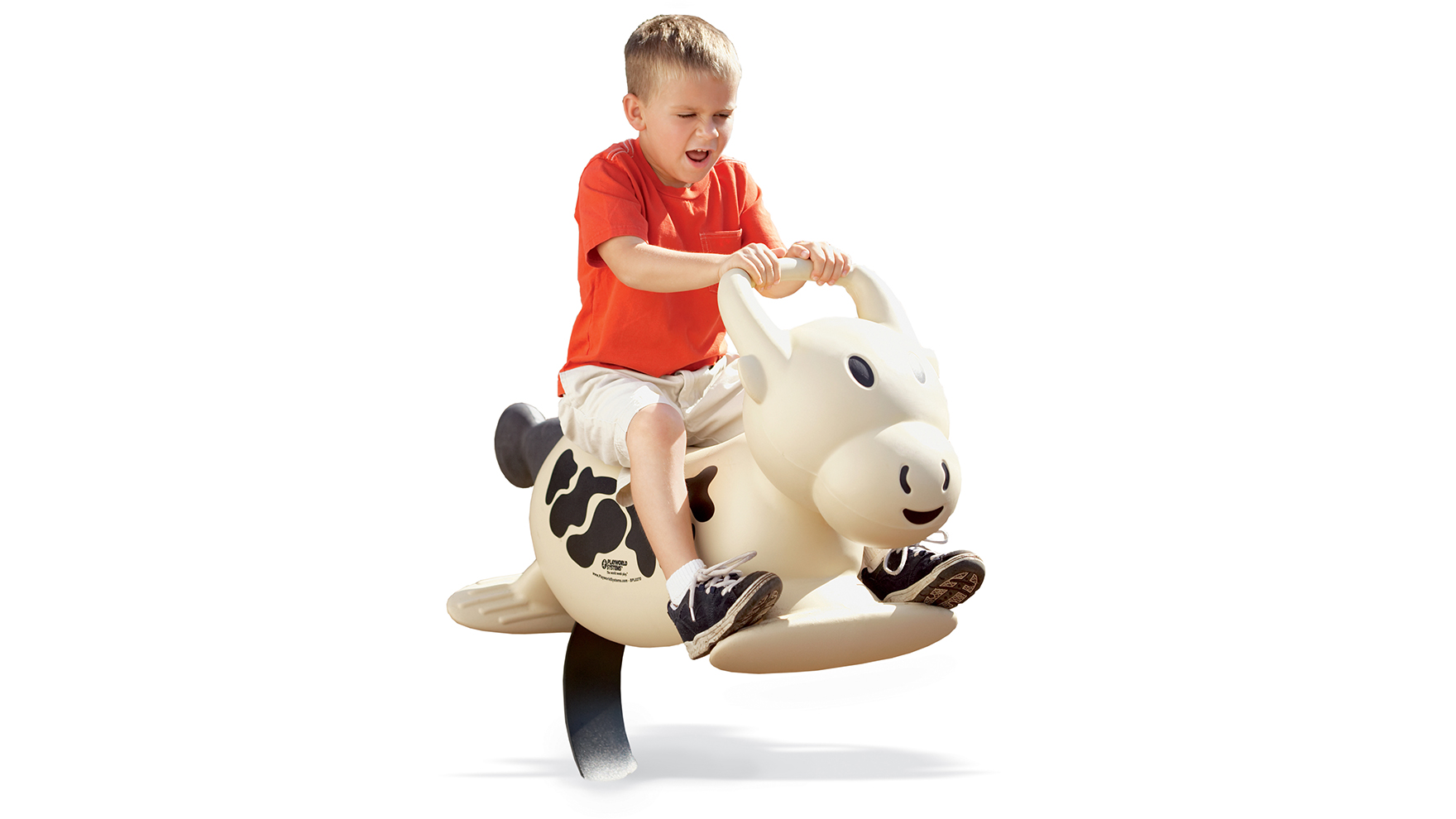 ZZXX0562 - Web Image 1