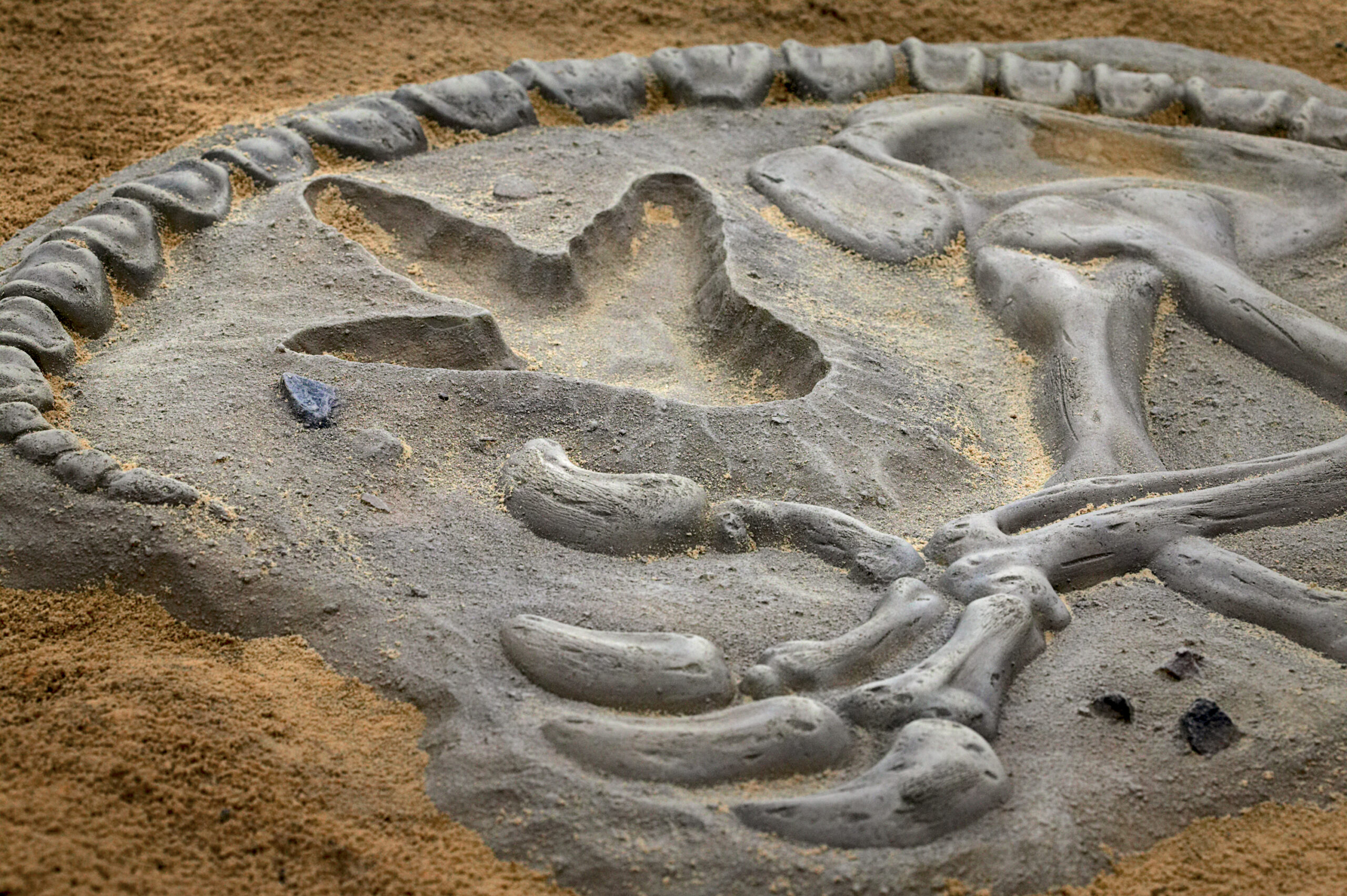 Dinosaur themed playground equipment in a sandbox